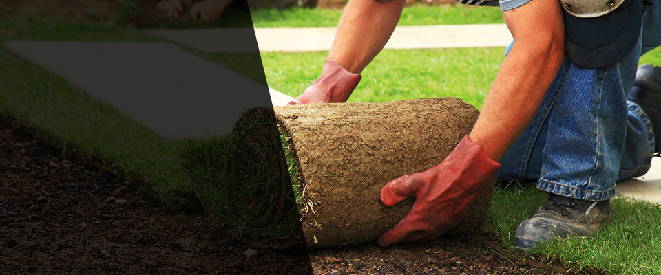 Huntington Park Landscapers